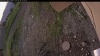 Web Cam Image - Mon, 06/30/2025 12:09am PDT