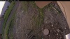 Web Cam Image - Sun, 06/29/2025 11:54pm PDT