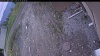 Web Cam Image - Mon, 05/18/2026 5:54pm PDT