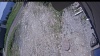 Web Cam Image - Tue, 06/02/2026 11:14am PDT