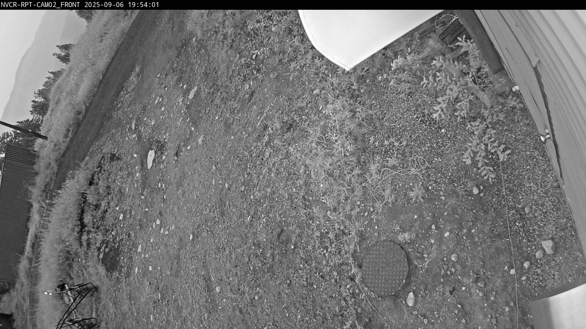 Web Cam History Image - 88