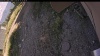 Web Cam Image - Sat, 09/13/2025 1:59pm PDT