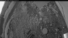 Web Cam Image - Sun, 06/29/2025 11:29pm PDT