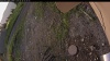 Web Cam Image - Sun, 06/29/2025 10:59pm PDT