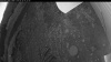 Web Cam Image - Sun, 06/29/2025 10:49pm PDT