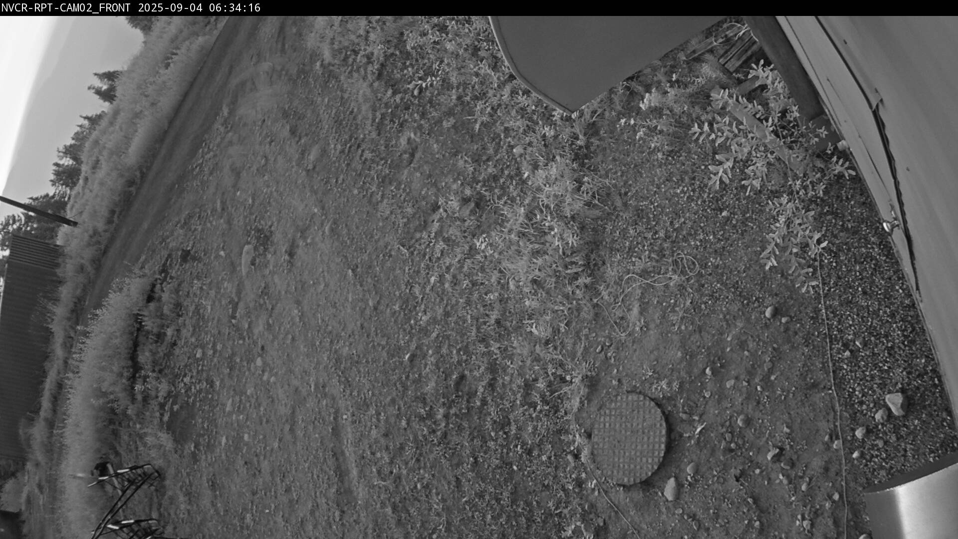 Web Cam History Image - 880