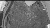 Web Cam Image - Wed, 06/10/2026 3:09am PDT