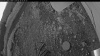 Web Cam Image - Sun, 06/29/2025 10:09pm PDT