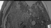 Web Cam Image - Sun, 06/29/2025 10:04pm PDT