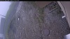 Web Cam Image - Fri, 05/15/2026 7:29am PDT