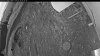 Web Cam Image - Wed, 05/20/2026 3:44am PDT