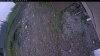 Web Cam Image - Fri, 06/05/2026 1:34pm PDT