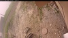 Web Cam Image - Thu, 06/12/2025 11:49am PDT