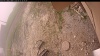 Web Cam Image - Thu, 06/12/2025 11:44am PDT