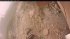 Web Cam Image - Thu, 06/12/2025 11:29am PDT