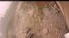 Web Cam Image - Thu, 06/12/2025 11:24am PDT