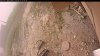 Web Cam Image - Thu, 06/12/2025 11:14am PDT