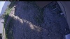 Web Cam Image - Tue, 06/02/2026 5:44pm PDT