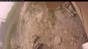 Web Cam Image - Thu, 06/12/2025 10:39am PDT