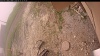 Web Cam Image - Thu, 06/12/2025 10:24am PDT