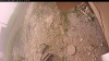 Web Cam Image - Thu, 06/12/2025 10:19am PDT