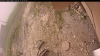 Web Cam Image - Thu, 06/12/2025 10:04am PDT