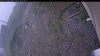 Web Cam Image - Fri, 05/29/2026 8:24am PDT