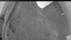 Web Cam Image - Fri, 06/19/2026 8:19pm PDT