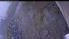 Web Cam Image - Tue, 10/21/2025 8:14pm PDT