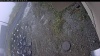 Web Cam Image - Fri, 10/17/2025 5:14am PDT