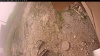 Web Cam Image - Thu, 06/12/2025 7:49am PDT