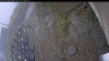 Web Cam Image - Fri, 10/17/2025 5:09am PDT