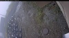 Web Cam Image - Fri, 10/17/2025 5:04am PDT