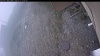Web Cam Image - Wed, 05/13/2026 11:29am PDT
