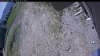 Web Cam Image - Tue, 06/02/2026 10:39am PDT
