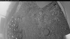 Web Cam Image - Fri, 10/17/2025 4:54am PDT
