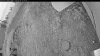 Web Cam Image - Mon, 09/01/2025 12:19pm PDT