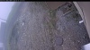 Web Cam Image - Wed, 05/13/2026 11:24am PDT