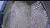 Web Cam Image - Thu, 05/21/2026 11:04am PDT
