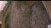 Web Cam Image - Mon, 09/01/2025 11:34am PDT