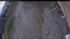 Web Cam Image - Sun, 05/10/2026 6:14pm PDT