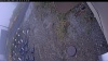 Web Cam Image - Tue, 10/21/2025 7:59pm PDT