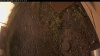 Web Cam Image - Sat, 09/13/2025 5:49am PDT