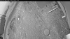 Web Cam Image - Fri, 05/08/2026 5:09am PDT