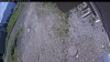 Web Cam Image - Fri, 06/12/2026 9:54am PDT