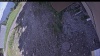 Web Cam Image - Fri, 06/12/2026 3:04pm PDT