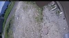 Web Cam Image - Tue, 06/16/2026 10:24am PDT