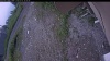 Web Cam Image - Fri, 07/03/2026 2:49pm PDT