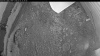 Web Cam Image - Fri, 07/03/2026 8:34pm PDT