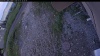 Web Cam Image - Tue, 07/07/2026 7:09pm PDT